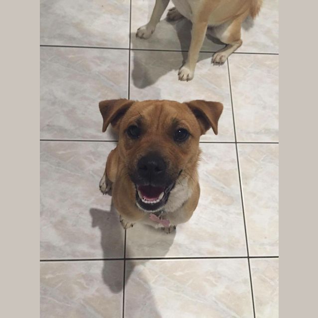 Photo of Marcus *•Adopt Me•*
