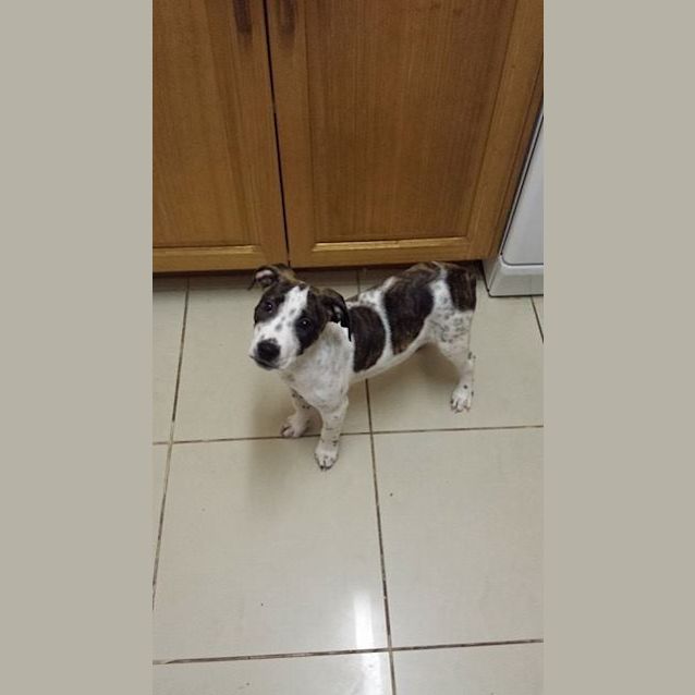 Photo of Leela