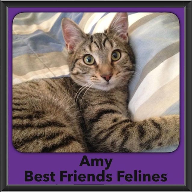 Photo of Amy