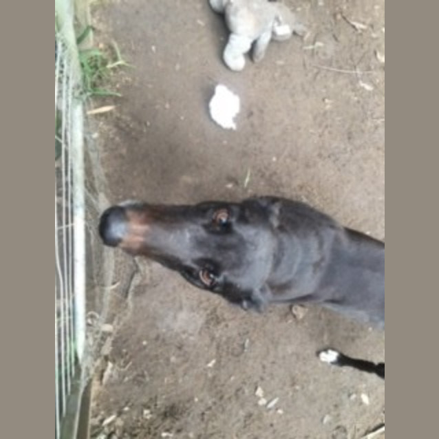 Photo of Twyla