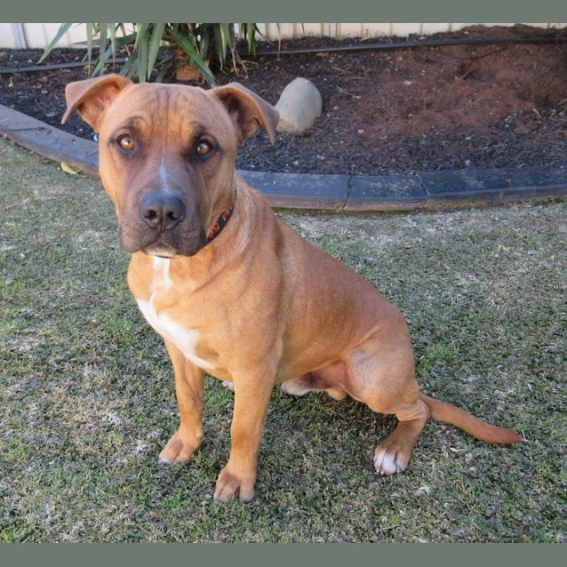Photo of Dre *On Trial In His New Home*