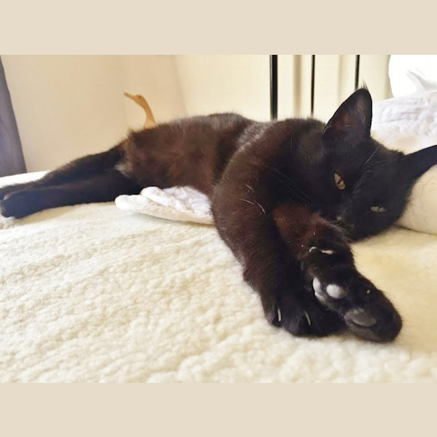 Photo of Bessie