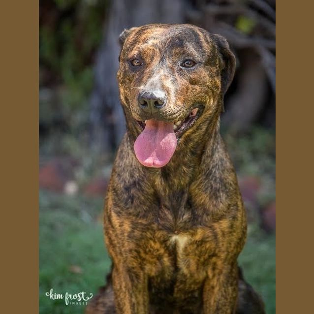 Photo of Tilly Dl1345