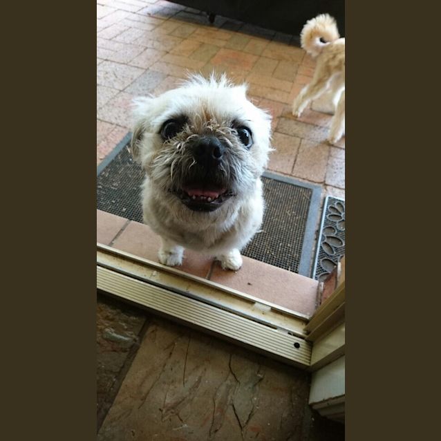 Photo of Paco