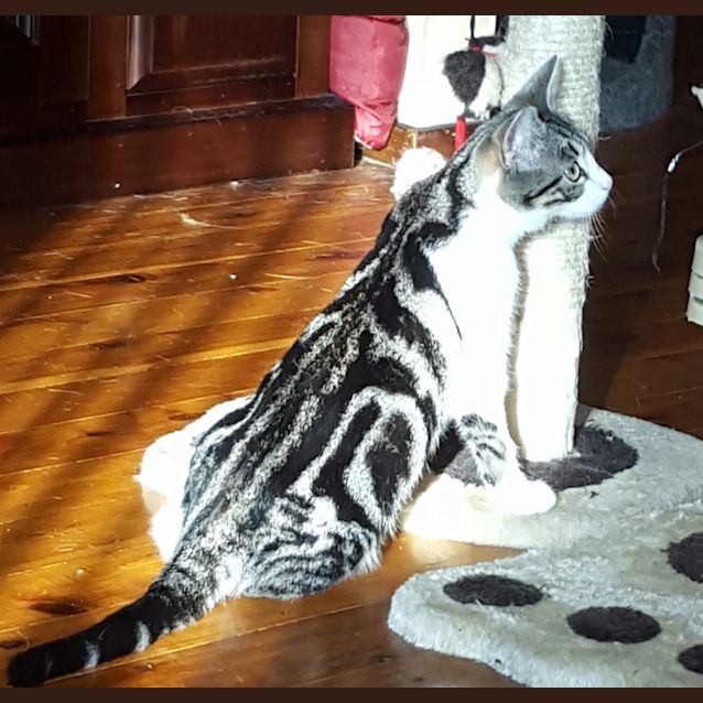 Photo of Nellie