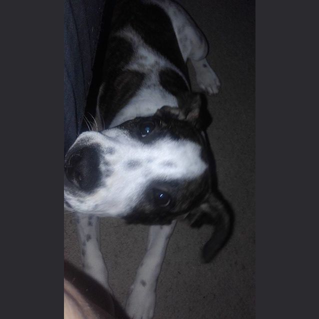 Photo of Leela