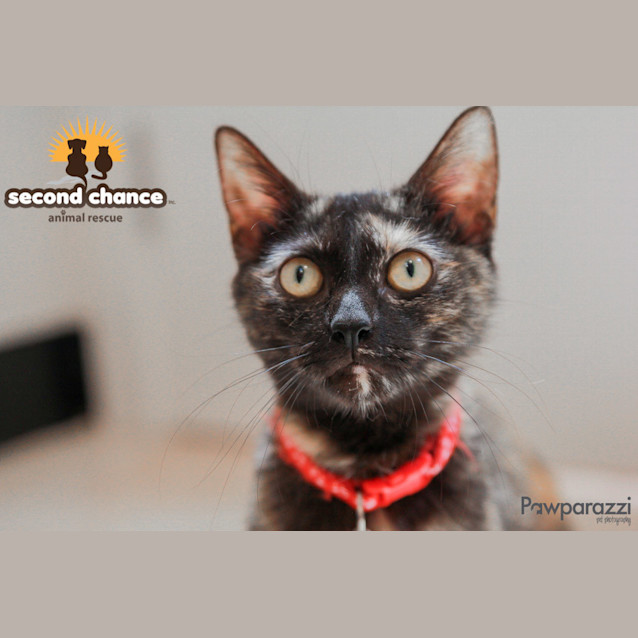 Photo of Jemima