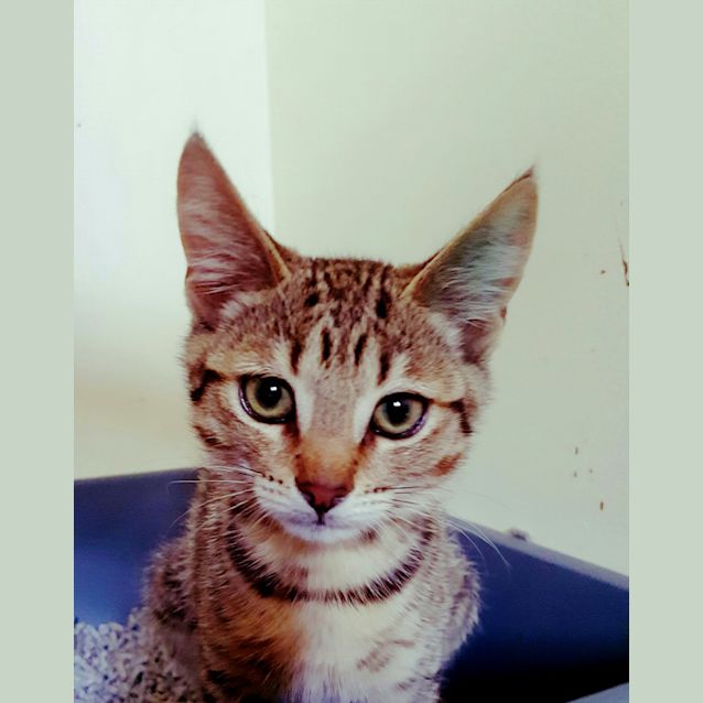 Photo of Major Tom