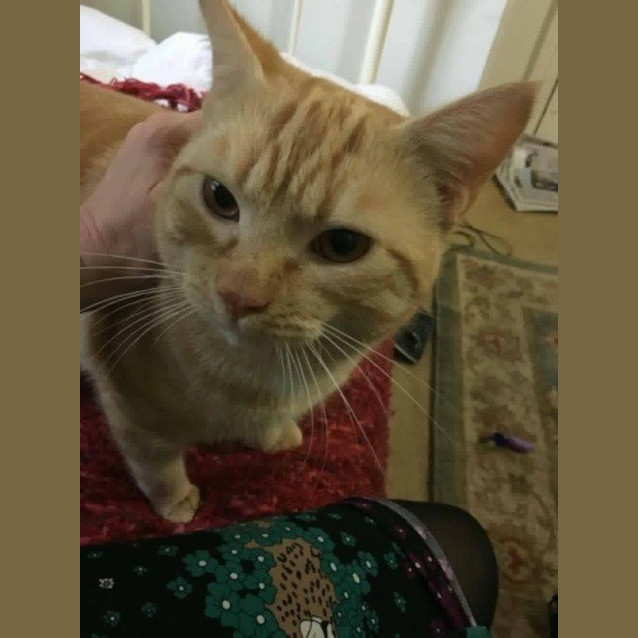 Photo of Oliver