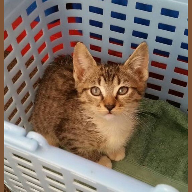 Photo of Zeus
