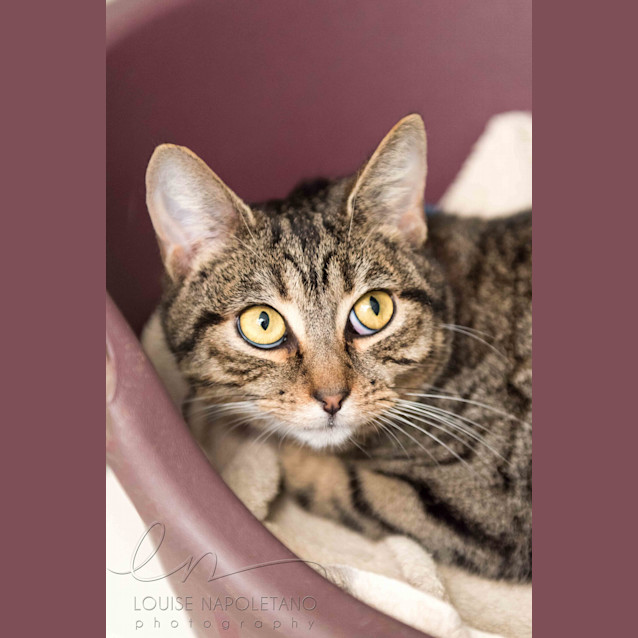 Photo of Princess (2777)