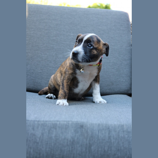 Photo of Lucy
