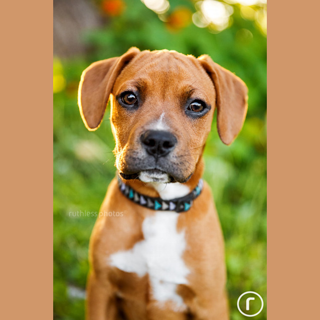 Photo of Zoom
