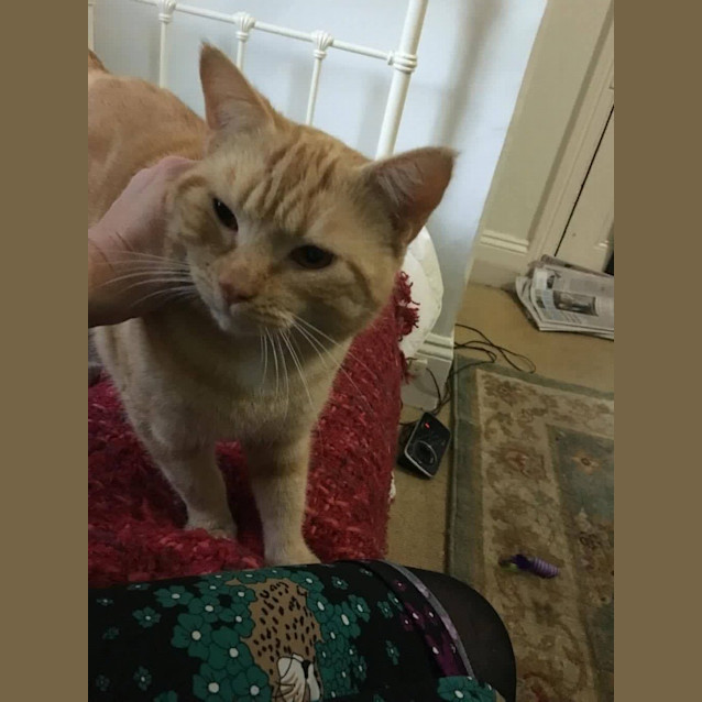 Photo of Oliver