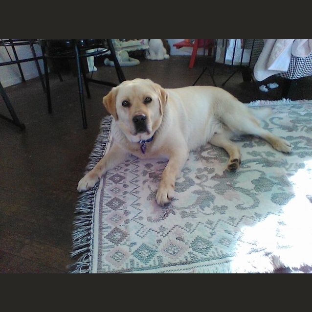 Photo of Marley 