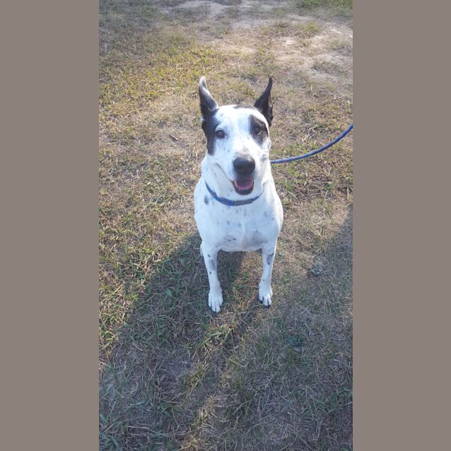 Photo of Duke