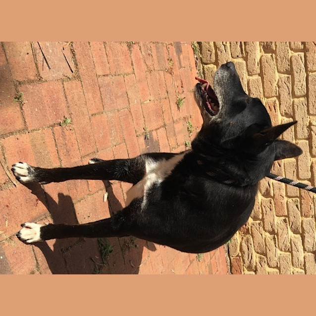 Photo of Murphy