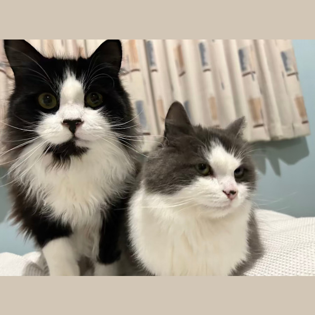 Photo of Lucy & Buster Boy