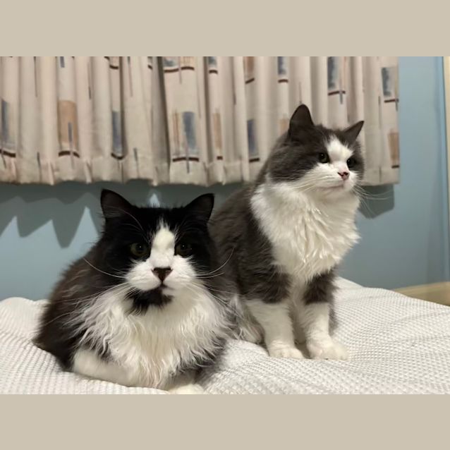 Photo of Lucy & Buster Boy