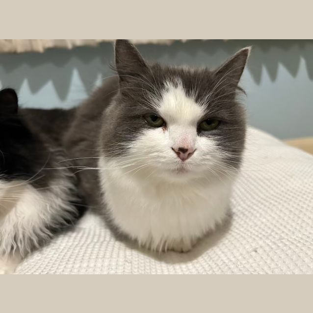 Photo of Lucy & Buster Boy