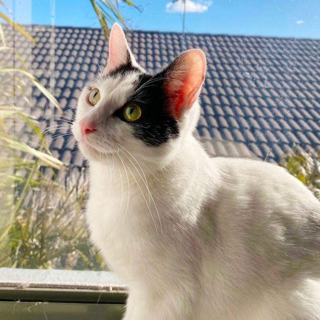 Photo of 🤍 Zedd 🤍