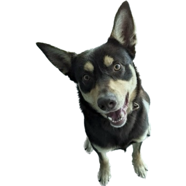 Photo of Forrest (John Snow)