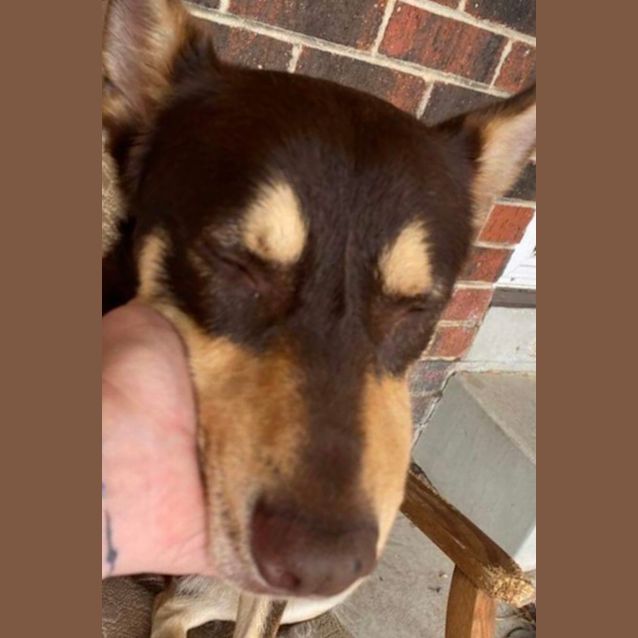 Photo of Forrest (John Snow)