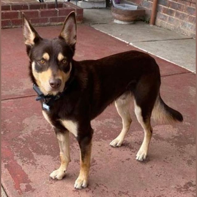 Photo of Forrest (John Snow)