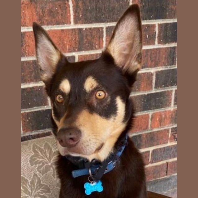 Photo of Forrest (John Snow)