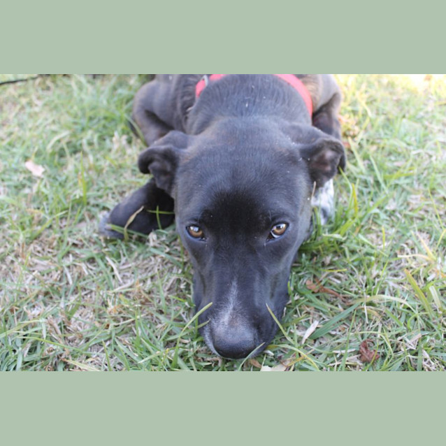 Photo of Minnie
