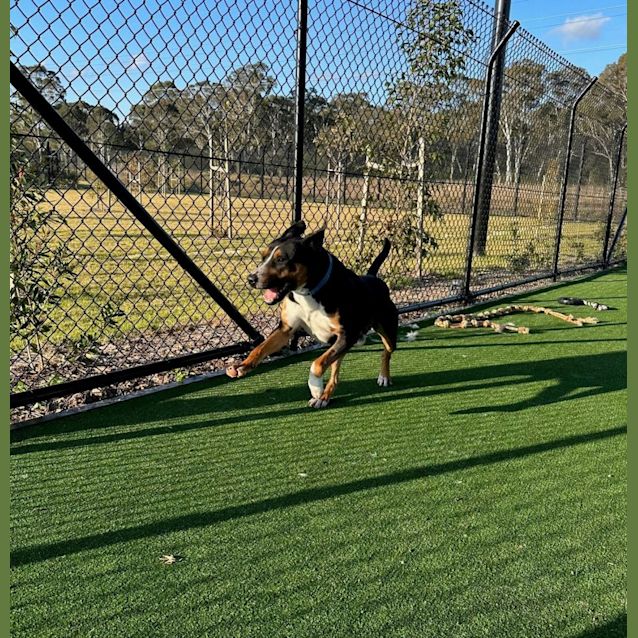 Photo of Bundy Imp 577