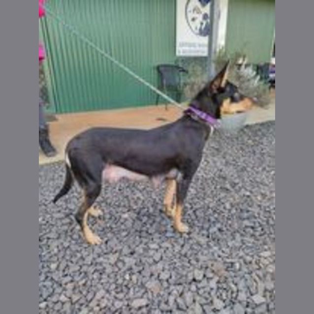 Photo of Zoe