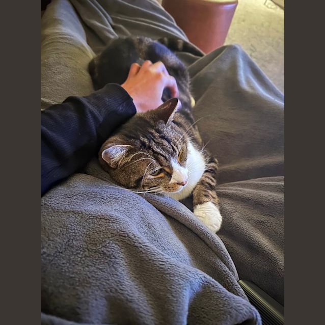 Photo of Barbados   Located In Brunswick East