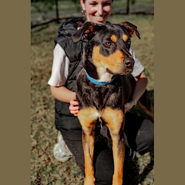 Photo of Chip Imp 580