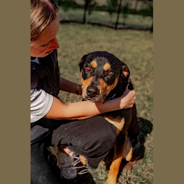 Photo of Chip Imp 580