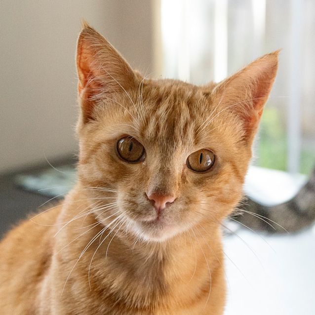 Photo of Meggs