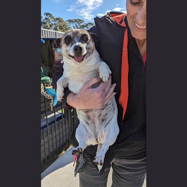 Photo of Missy & Roxy