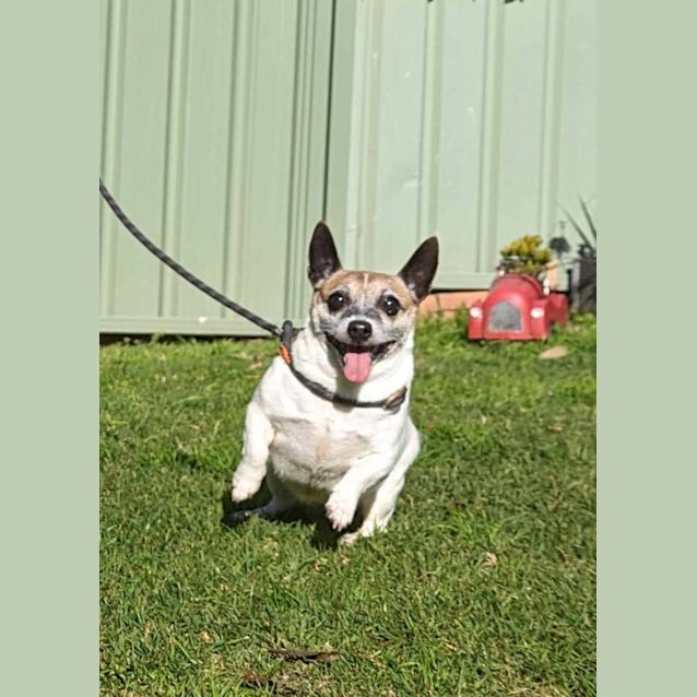 Photo of Missy & Roxy