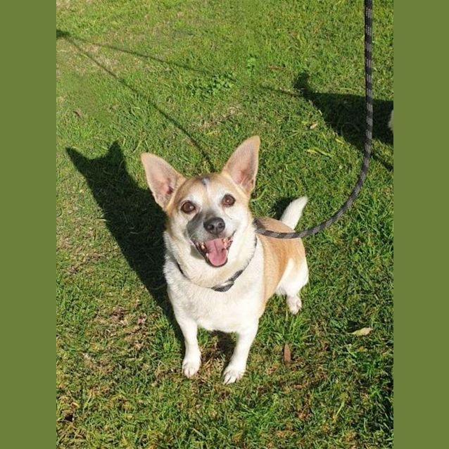 Photo of Roxy & Missy