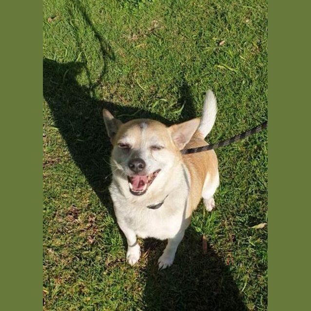 Photo of Roxy & Missy