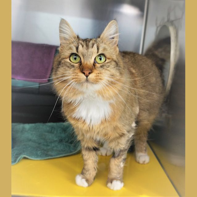 Photo of Aggie