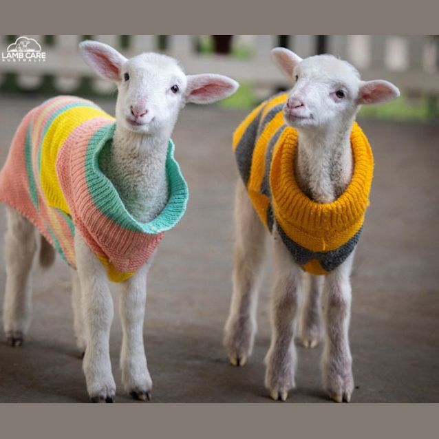 Photo of Richard And Lourdes