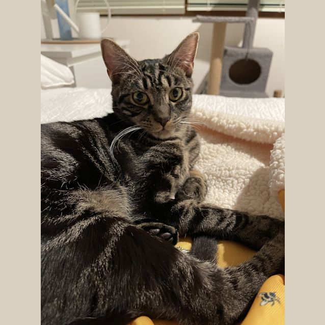 Photo of Constantine