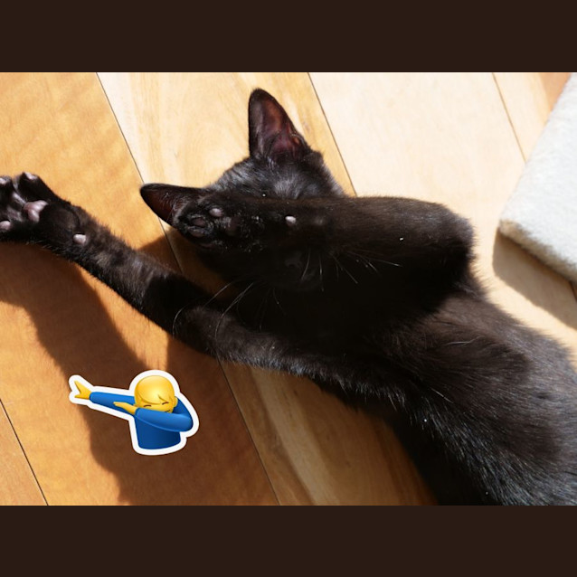 Photo of Bolero
