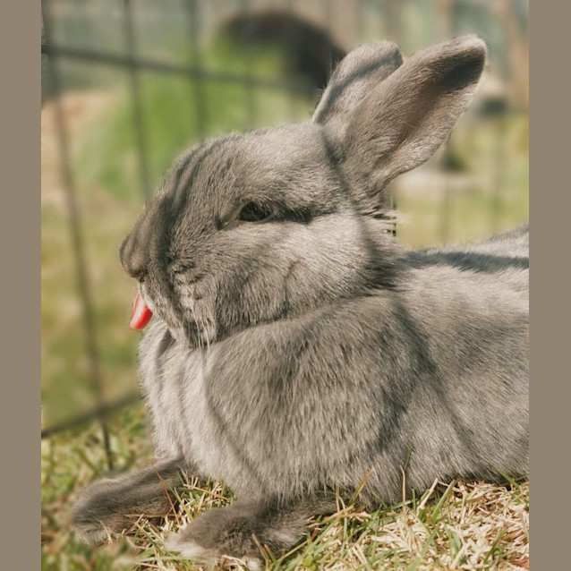 Photo of Rini Aka Tangerine And Givenchy