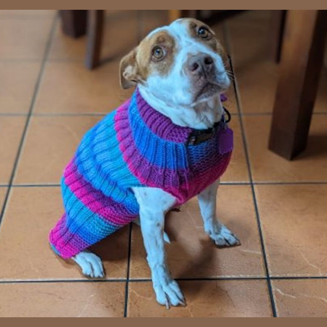 Photo of Pebbles And Bam Bam