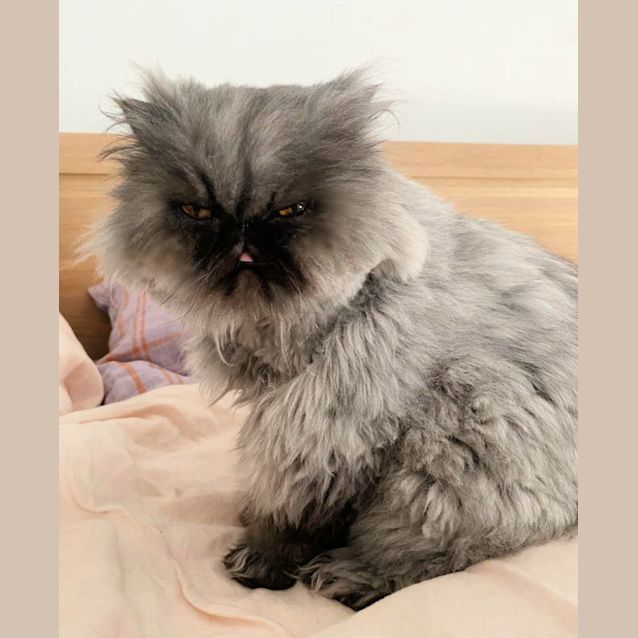 Photo of 🖤Mia🖤