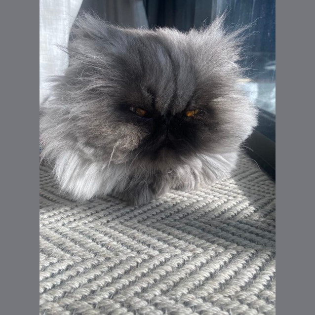 Photo of 🖤Mia🖤