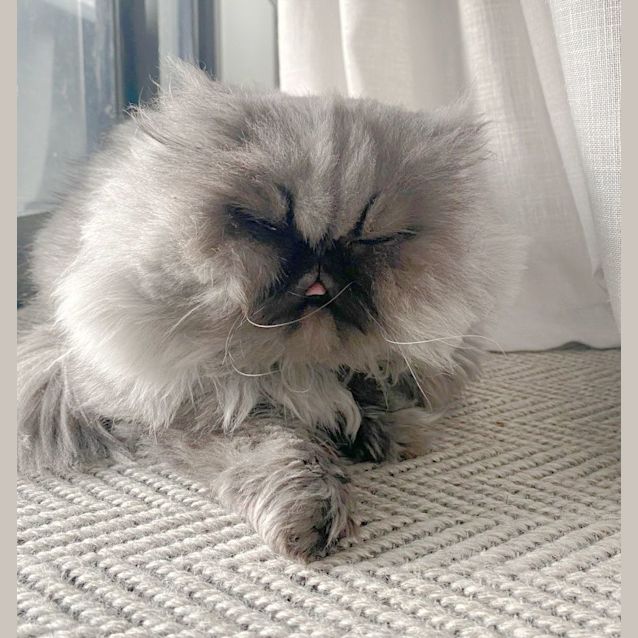 Photo of 🖤Mia🖤