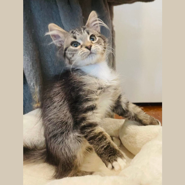 Photo of Jelly    Located In Preston